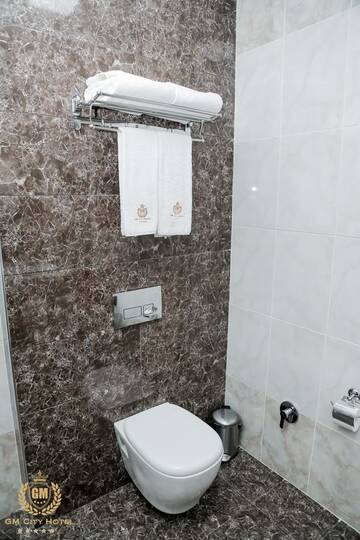 Одноместный номер Делюкс в Отеле GM City Hotel